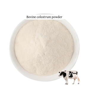 Miễn dịch Boost bò sữa non bột sức khỏe đường ruột IgG 20% đông khô bò sữa non bột - Product Image 2