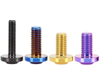 Kit de boulons décoratifs Surron Titanium Classe 4 anodisés bleus Itsalaya