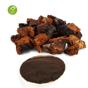 Caliente venta salvaje hongo Chaga extracto en polvo - Product Image 1