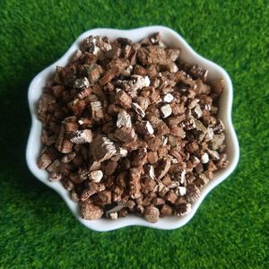 Venta Directa de Fábrica: Plántulas para Cultivo, Esquejes Hortícolas de Nivel de Exportación, <span class=keywords><strong>Vermiculita</strong></span> y <span class=keywords><strong>Vermiculita</strong></span> Expandida - Product Image 4