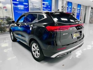 Haval H6 2021 Tendance Nationale 1.5T Essence SUV, Véhicule d'<span class=keywords><strong>occasion</strong></span> en bon état, SUV spacieux 5 places économique - Product Image 5