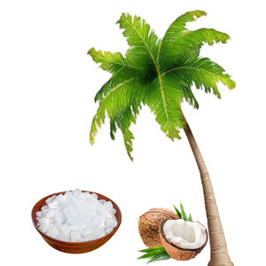 Gelée de noix de coco fruitée en sachet de 1 kg pour boissons et jus de fruits, prête à consommer avec Nata De Coco, durée de conservation de 12 mois, qualité commerciale - Product Image 5