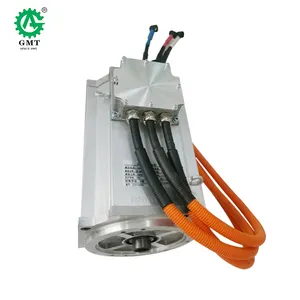 Customized Wholesale Pure Electric Light Electric Vehicle Drive Motor System 15Kw 96v