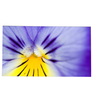 Pantalla LCD Popular TFT LM270WQ5-SSB1 de 27.0 Pulgadas, 2560*1440, 60Hz - Product Image 1