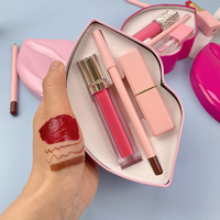 Kit d'emballage en forme de lèvres de marque privée 3 en 1 Baume à lèvres hydratant Rouge à lèvres mat naturel imperméable Rouge à lèvres nude Crayon à lèvres brun foncé