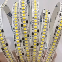 Bandes LED DC12V 24V AC110V 220V 2835 120 240 LED/m 8mm 10mm 18W 5M 10M 3000k 4000k 6500k Blanc Dimmable Flexible