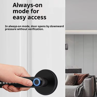 Serrure intelligente en alliage d'aluminium, WiFi, application Tuya, empreinte digitale, mot de passe, carte-clé, serrure de porte, porte en bois de bureau