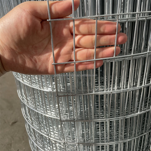 2 mét dây 50x100 mét lỗ mạ kẽm hàn dây lưới hàng rào cho cây ăn quả - Product Image 2