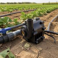 Hochleistungs-Leise Langlebige Bürstenlose AC-Wasserpumpe für Abwasser-Aufzüge & Landwirtschaftliche Bewässerung