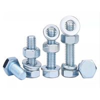Boulon hexagonal en acier inoxydable, acier au carbone, acier galvanisé à chaud (HDG), Dacromet, zinc noir, laiton, cuivre, nylon, avec écrou et rondelle