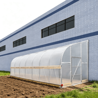 Serre tunnel écologique 10x30 pieds, abri de pluie pour culture de plantes en arrière-cour, facile à assembler, auvent agricole à faible coût