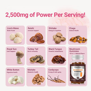 Complément alimentaire en gummies à base d'extrait de champignons super-complexes 10 en 1, biologique, végétalien, Lion's Mane, Reishi et Chaga, 2500 mg, marque privée OEM - Product Image 2