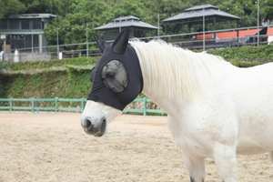 หน้ากากบินม้าสำหรับม้าที่มีหูหน้ากากบินม้าแบบกำหนดเอง - Product Image 3