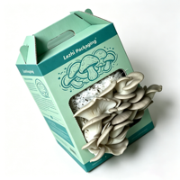 Coffrets cadeaux écologiques pour kits de culture de champignons, boîtes d'emballage biodégradables en papier pour la culture de champignons