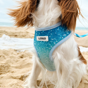 Blue Sequin Gradient Fashion Neues Modell Hunde hals geschirr Escape Proof Custom Design Hunde geschirr - Product Image 2