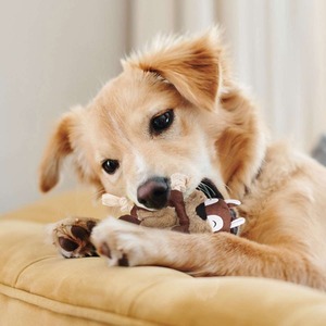 カスタマイズされた卸売犬のきしむおもちゃ耐久性犬の噛むコンパニオンおもちゃトレーニングリスクマキツネ - Product Image 3