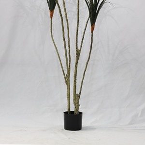 Plante artificielle décorative en pot, haute simulation, à tige fine, type Arbre du sang du dragon, centenaire - Product Image 6