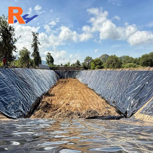 HDPE de Doble Textura de 1.5 mm para Barrera Contra Infiltraciones en Presas de Ceniza en la Central Eléctrica Mae Moh, Lampang, Tailandia - Product Image 3