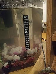 Nhãn dán nhiệt độ hồ cá dải màu xanh lá cây và màu xanh chỉ báo nhiệt độ động Vật Lưỡng Cư bể cá nhiệt kế dính - Product Image 6