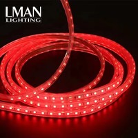 Paysage extérieur super lumineux allumant la lumière de corde de RVB LED SMD5050 60LEDS/M 12 W/M bande de lumière de RVB LED