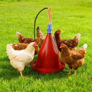 Bebedero Automático <span class=keywords><strong>para</strong></span> Aves de Corral, <span class=keywords><strong>Precio</strong></span> de Fábrica al por Mayor, Bebedero Automático de Alta Calidad Tipo Plasson <span class=keywords><strong>para</strong></span> Pollos - Product Image 3