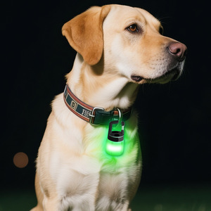 ป้ายห้อยคอสุนัขพันธุ์เล็กแบบกันน้ำพร้อมไฟ LED รุ่นใหม่ วัสดุอลูมิเนียมอัลลอยด์พลาสติก ดีไซน์แบบกระเป๋าสไตล์อังกฤษ ป้องกันการสูญหาย พร้อมตัวล็อค - Product Image 4