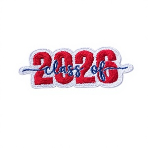 Factory Custom Glitter Aufbügeln Stick aufnäher Hot Selling Disney park Logo Chenille Aufnäher Gestickter Stoffs til - Product Image 3