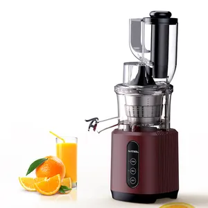 Wholesale smart high end 240w mini cold press slow juicer keep the nutrition of the fruit and vegetable juice extractor