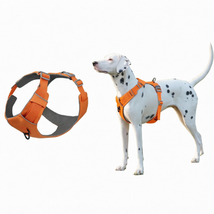 Fashionable Solid Print Pattern Pet <b>Collar</b> Breathable Reflective Nylon Mesh Padded Style <b>Small</b> <b>Dogs</b> Personalized Ribbons - Product Image 1