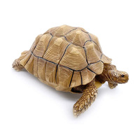 Figurine de tortue 2,5 cm en polyrésine, décoration de Collection, cadeau
