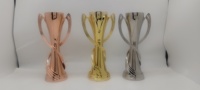 Trophée de la Victoire Holywell 2026 Personnalisable, Médaille Sportive en Métal Poli Gravé, Souvenir et Cadeau d'Entreprise