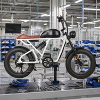 Vélo électrique 500W 48V 15AH avec pneus larges de 20 pouces, idéal pour les trajets quotidiens, première expérience de vélo électrique, cadre en acier carbone pour les week-ends décontractés
