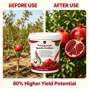 Fertilizante Compuesto NPK Específico para Granadas de 500g, Equilibrado, Estimula el Crecimiento de Raíces, Tamaño de Fruta, Dulzura y Color para Huertos/Granjas - Product Image 4