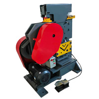 Machine de poinçonnage de tôles à haute efficacité / Cisaille à profilés en fer / Découpeuse de profilés pour ferrothermique