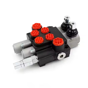 Válvula Direccional Monobloque de 2 Bobinas P40-G12-G38-OT-QTW, Fabricante de Piezas para Maquinaria de Construcción - Product Image 3
