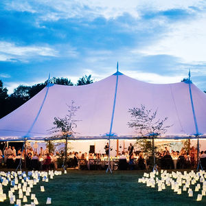 Carpas de Boda Transparentes de Lujo, Carpa para Eventos al Aire Libre, Carpa para Eventos con Techo Transparente - Product Image 2