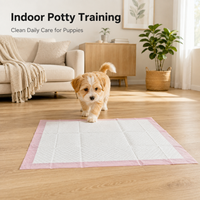 Tapis d'apprentissage de la propreté pour chiots OEM, absorbants rapidement, anti-fuites, jetables, écologiques et biodégradables