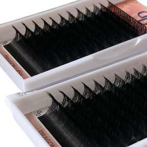 DragonLash Super Matte Darkest Black Volume <b>Lash</b> <b>Extensions</b> 8-15mix 15-20Mix private label Handmade Cashmere Eyelash <b>Extensions</b> - Product Image 1