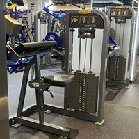 Machine à curls biceps à charge par poulie, équipement d'entraînement biceps pour salle de sport commerciale, fabriquée en acier galvanisé de 3 mm