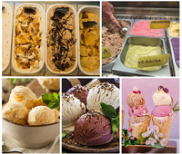 Machine à Glace Molle Automatique Commerciale Trois Parfums, Compresseur Moteur Puissant pour Restaurants