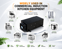 Kit de cuisinière à induction électrique commerciale 10-20KW, cartes de circuit de commande de chauffage pour machine de transformation alimentaire avec garantie d'un an