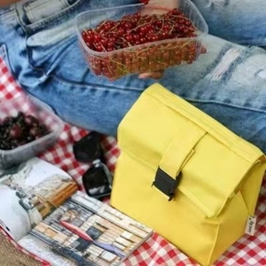 Sac de glace roulé à la main isolé pour le déjeuner Sac de fermeture à boucle en plastique portable pliable - Product Image 1