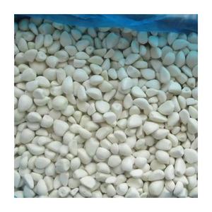 Ajo Blanco chino orgánico al mejor precio, picante ligero de alta calidad empaquetado en bolsa de red fresca, cultivo puro más nuevo directo de la granja - Product Image 1