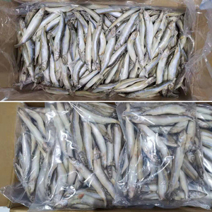 SANFENG makanan laut harga grosir ikan Capelin Frozen Shishamo untuk Vietnam