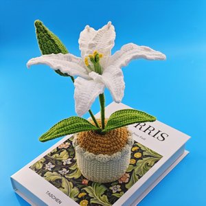 Fleur artificielle faite à la main en crochet, pot de fleurs en forme de lys, <span class=keywords><strong>cadeau</strong></span> <span class=keywords><strong>mignon</strong></span> <span class=keywords><strong>pour</strong></span> elle, petite amie, amie, collègue, bouquet de fleurs en crochet - Product Image 6