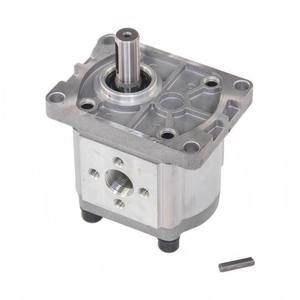 Repuestos de Control Hidráulico para Cargadora de Ruedas, Bomba de Engranajes de Trabajo CBNF310 - Product Image 3