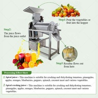 Extracteur de jus de fruits industriel manuel ananas corossol 2020 tomate cactus presse à froid