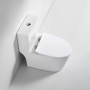 <span class=keywords><strong>Bolina</strong></span>-inodoro de cerámica de doble empotrado para baño, inodoro de una pieza montado en el suelo - Product Image 5