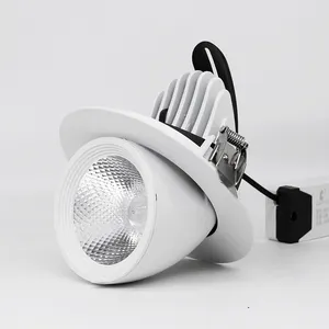 LED Gimbal Downlight 30W COB ayarlanabilir aşağı ışık 360 dönebilen eecessed led downlight