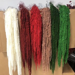 All'ingrosso Amaranthus Caudatus coda per il taglio dei semi <span class=keywords><strong>fiori</strong></span> ornamentali casa o diserbo decorazioni per feste. - Product Image 4